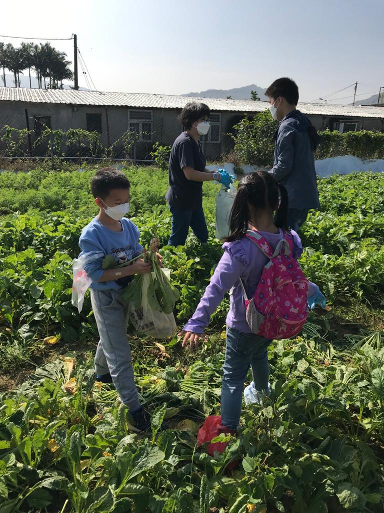 「綠色」生活