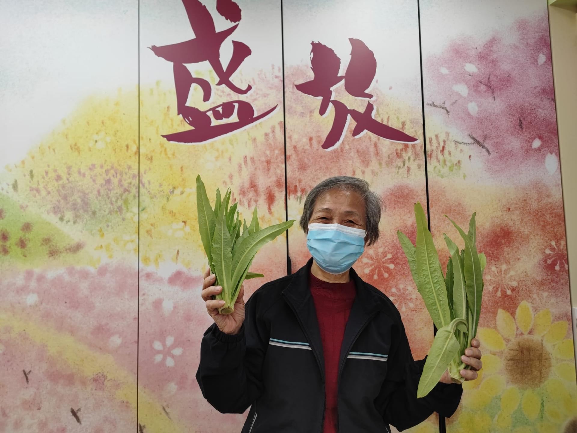 「耆樂綠融融」有機農場耕種及蔬菜捐贈