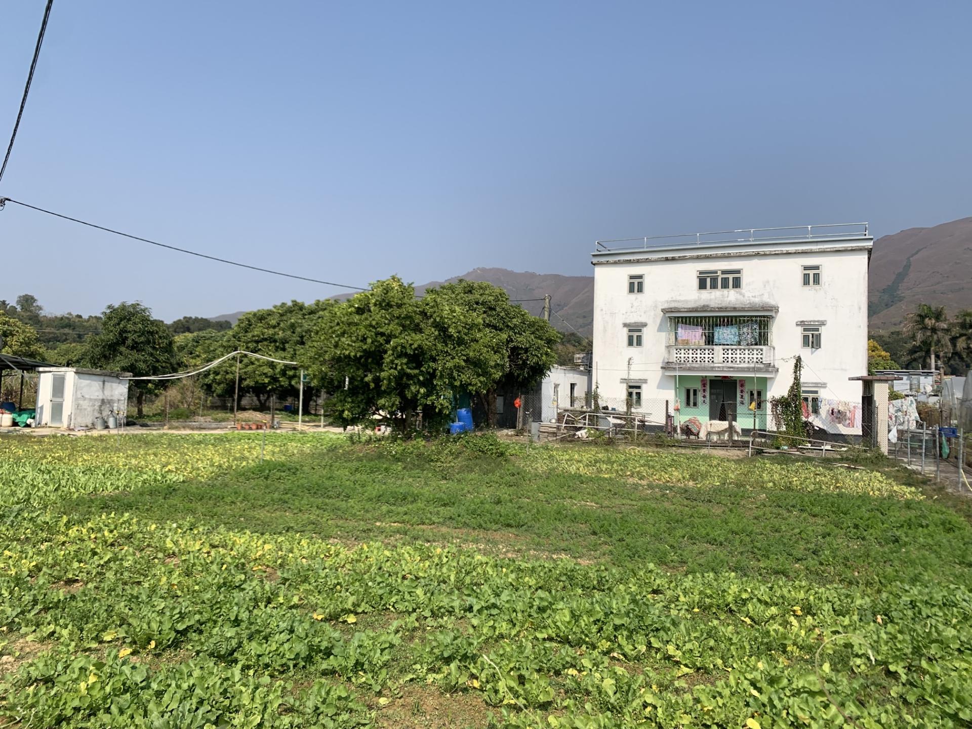 「綠色」生活